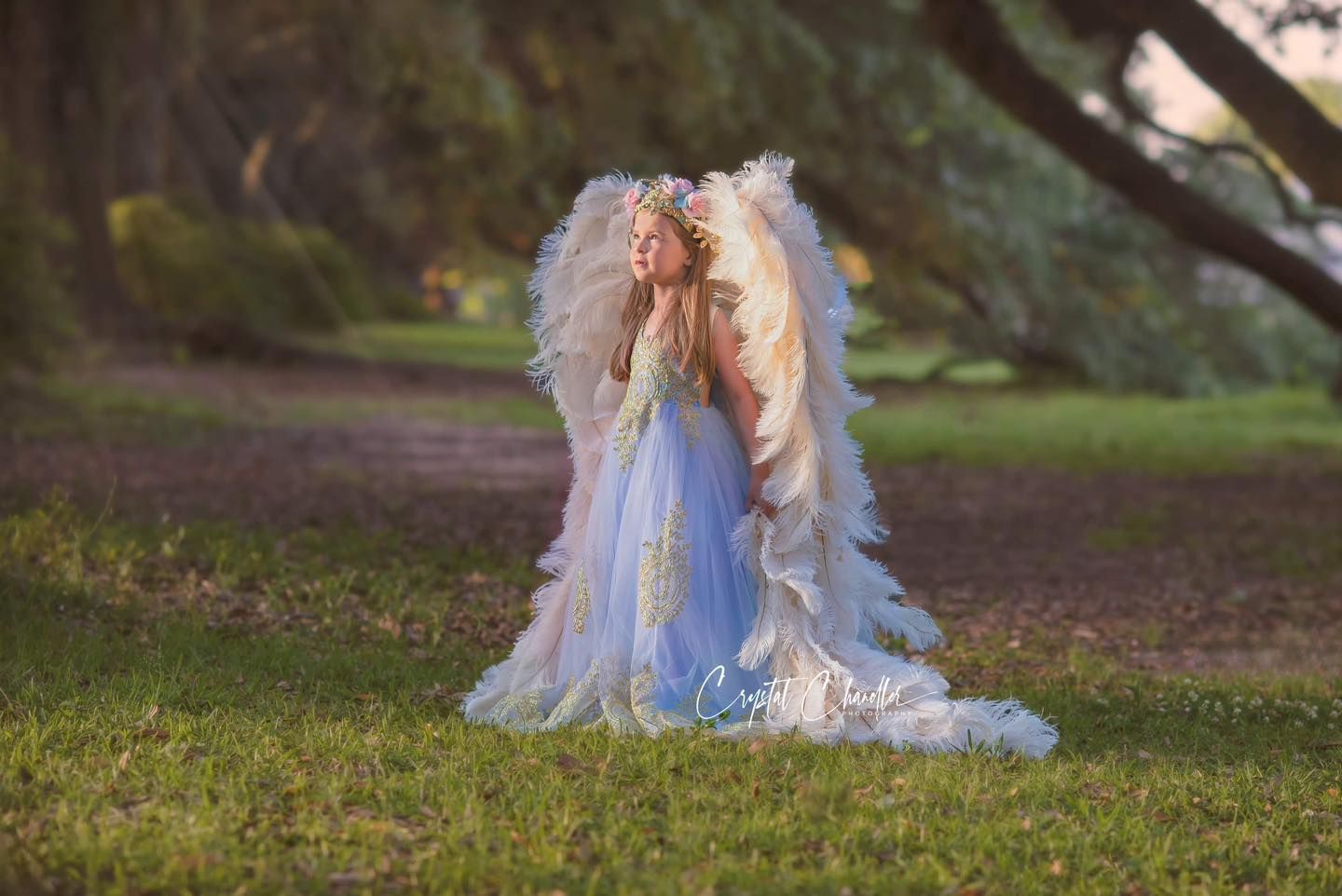 Photograhy, photographer, Mobile, AL A dreamy portrait of angel wings in a blue dress against a forest backdrop.
