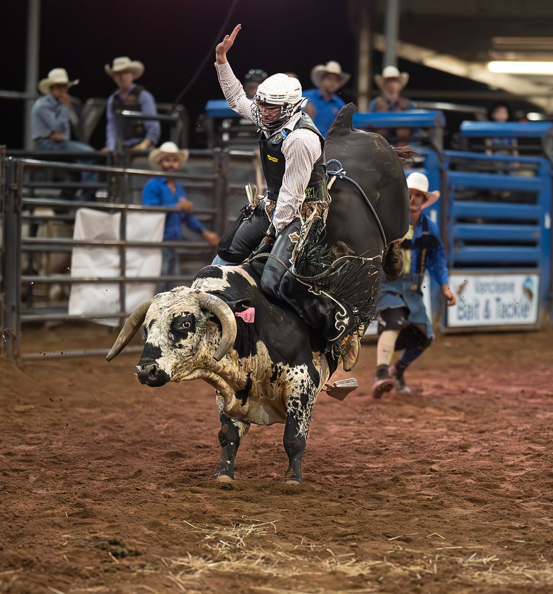 A rodeo rider competes in bull riding at an indoor arena, demonstrating skill and balance atop a bucking bull.