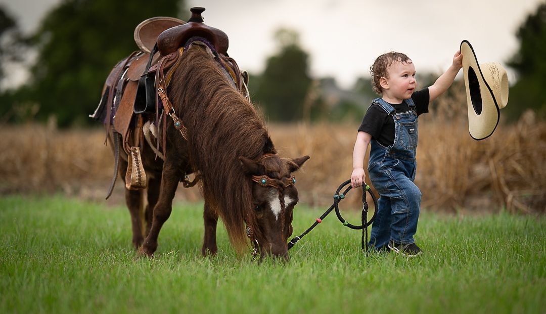 Small child in overalls stands in grassy field next to brown horse with western saddle as sun sets behind them.