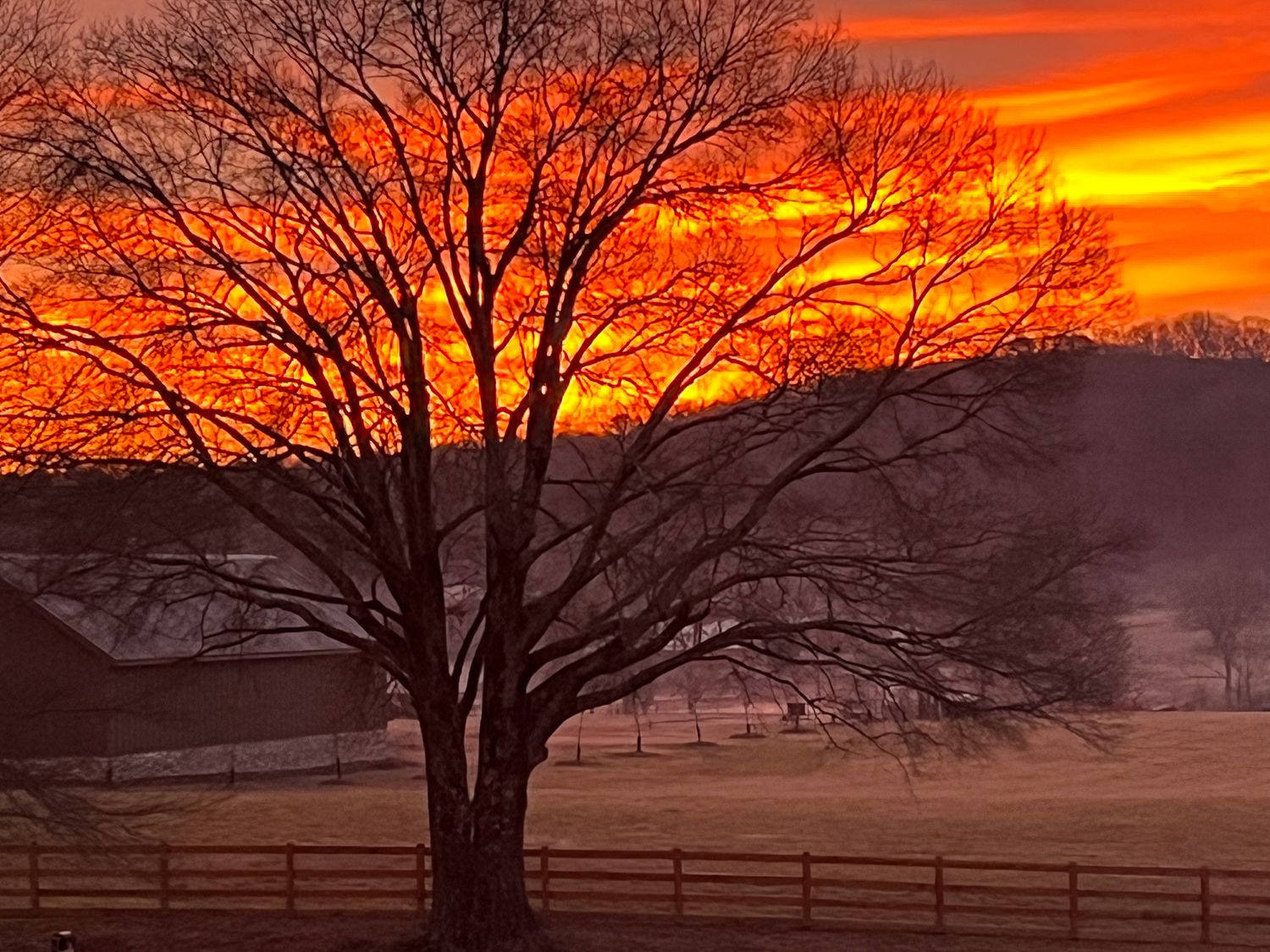 Morning Sunrise 2024