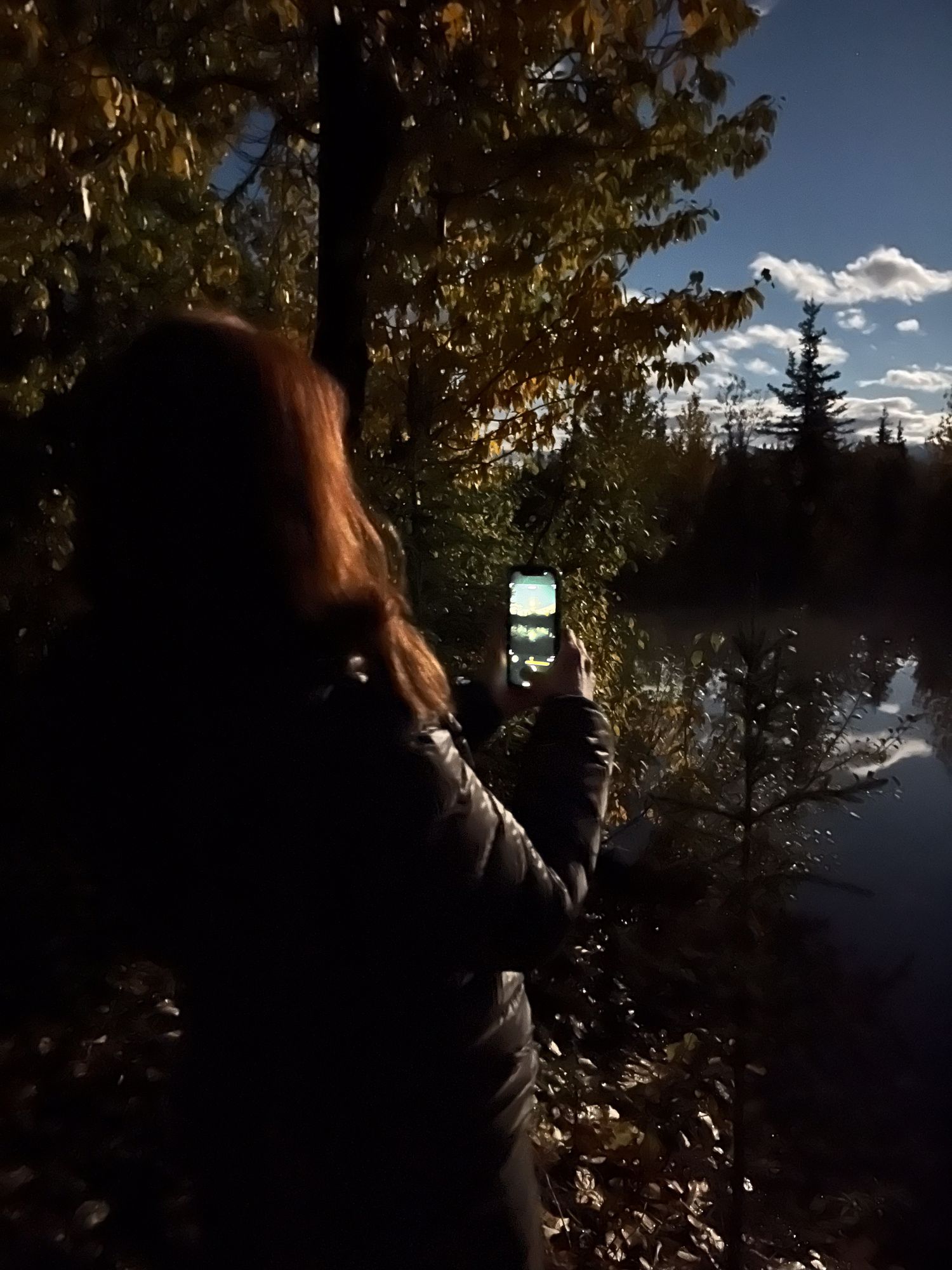 Alaska moonlight