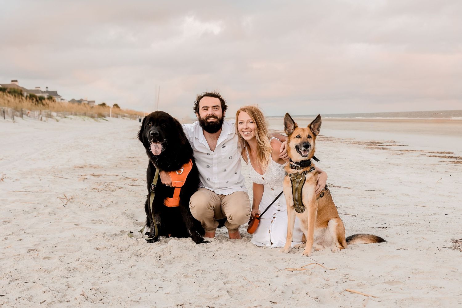 Two dogs join a couple relaxing on the beach during a photo session.