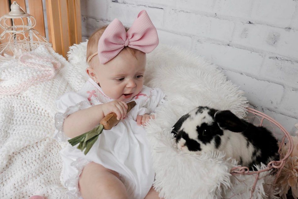 White bunny rabbit resting on a soft blanket with floral decorations.