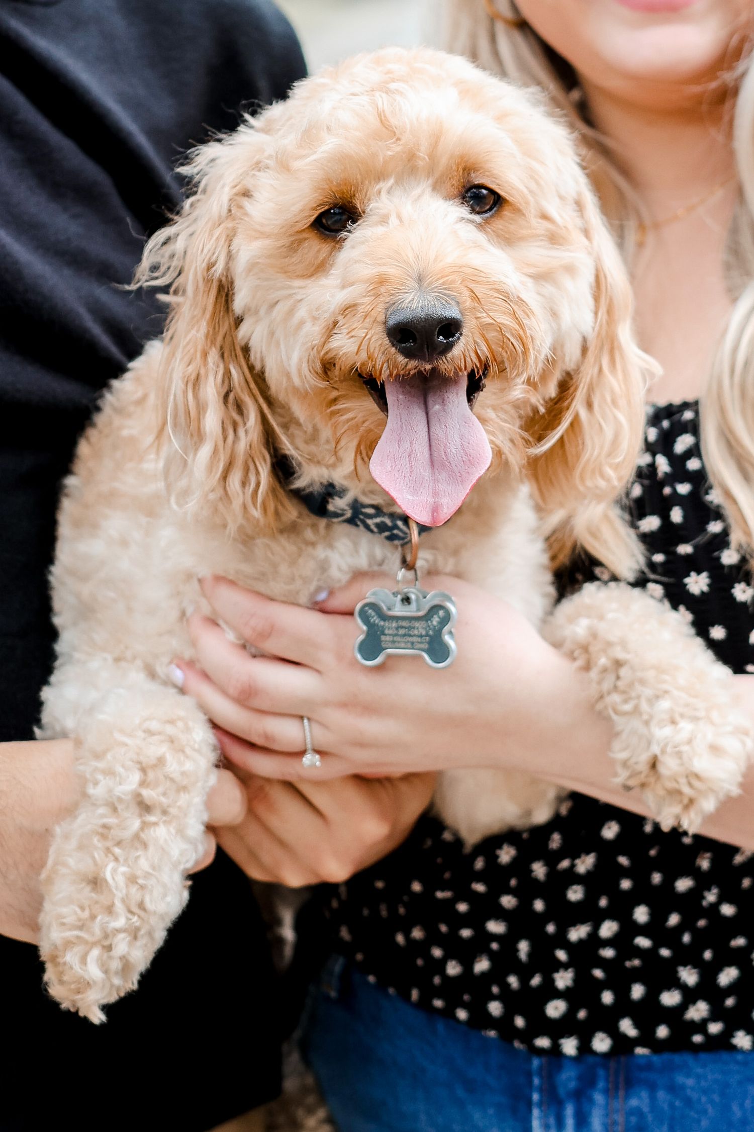 Adorable cream-colored dog with a bone-shaped tag smiling during outdoor photo session.