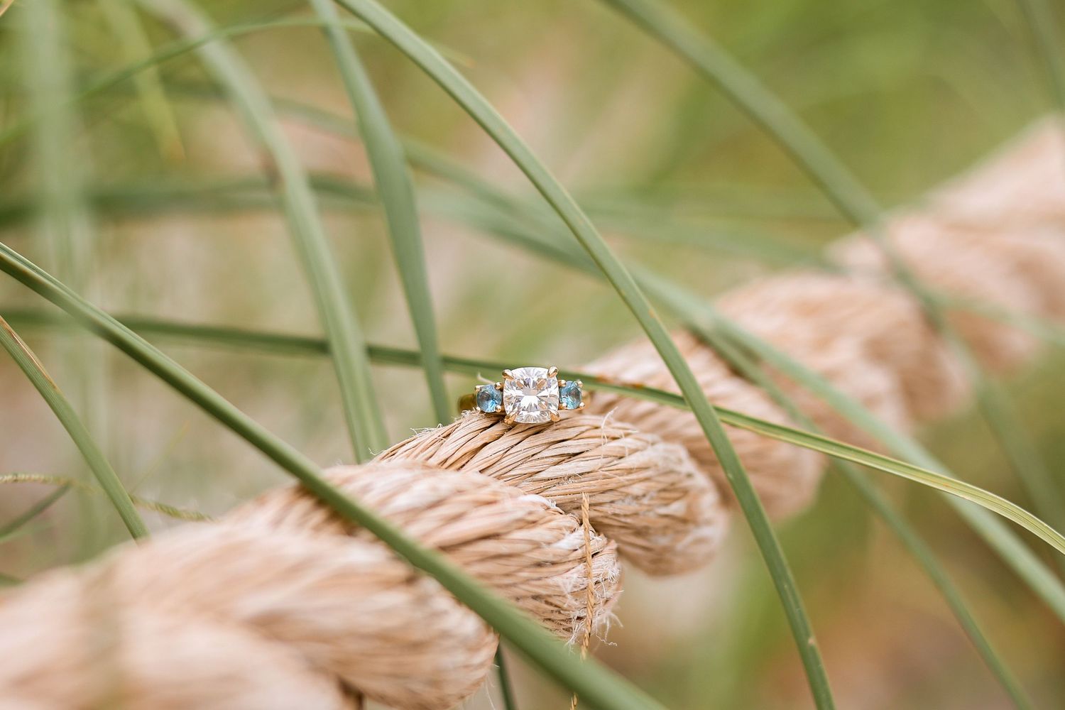 Diamond engagement ring sits atop dried pampas grass with green blades in soft natural lighting.