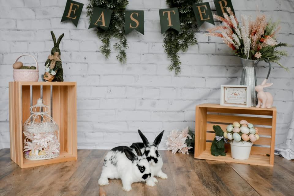 White brick wall display with wooden shelves and black rabbit decorative elements.