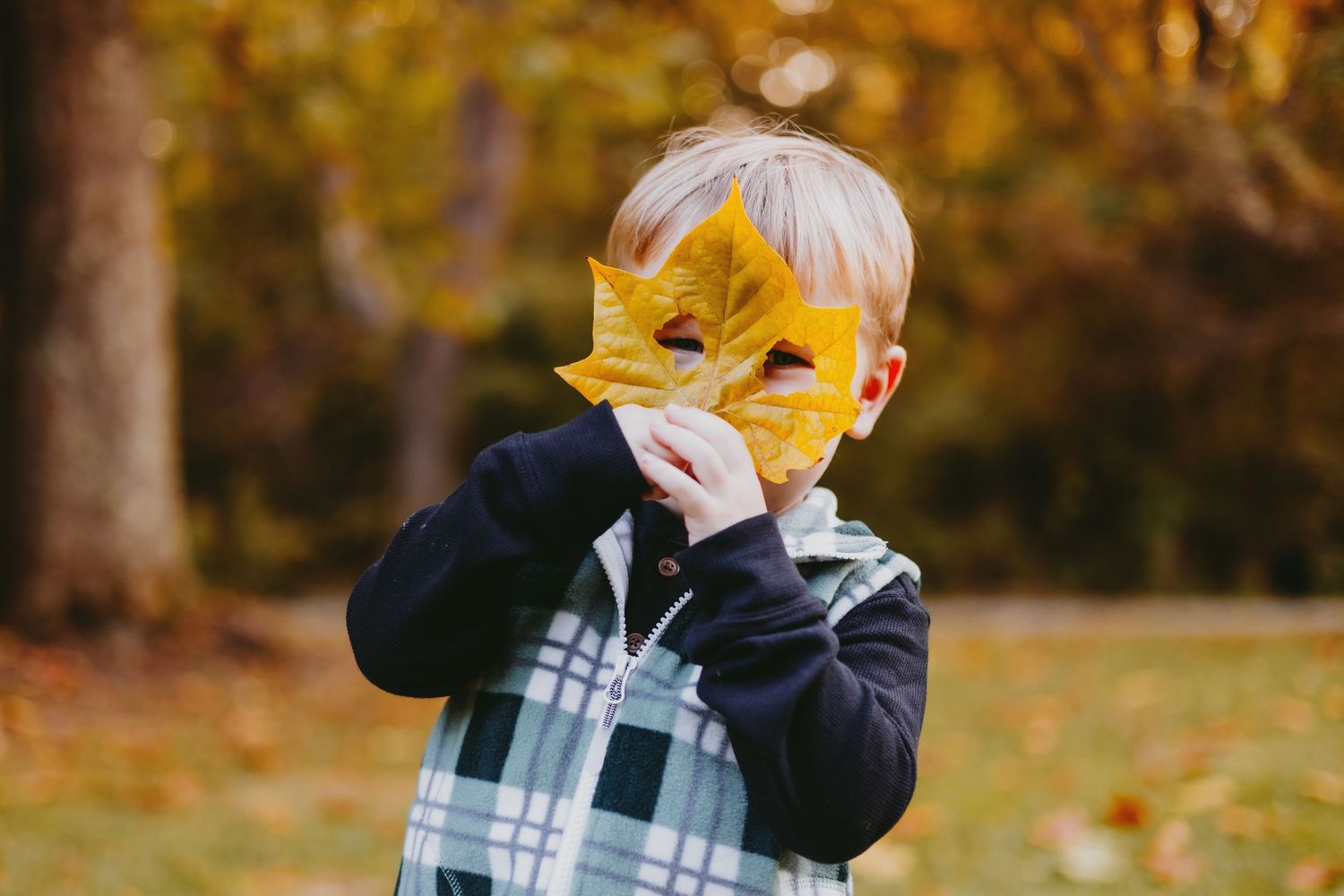 A young blonde child holds a yellow autumn leaf over their face in a park with colorful fall foliage background.