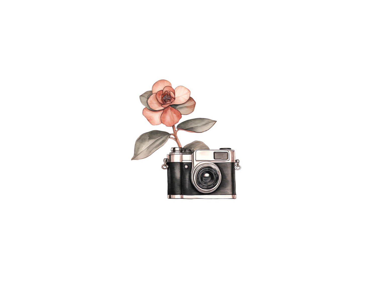 Illustrated vintage camera with pink rose blooming from lens in watercolor style.
