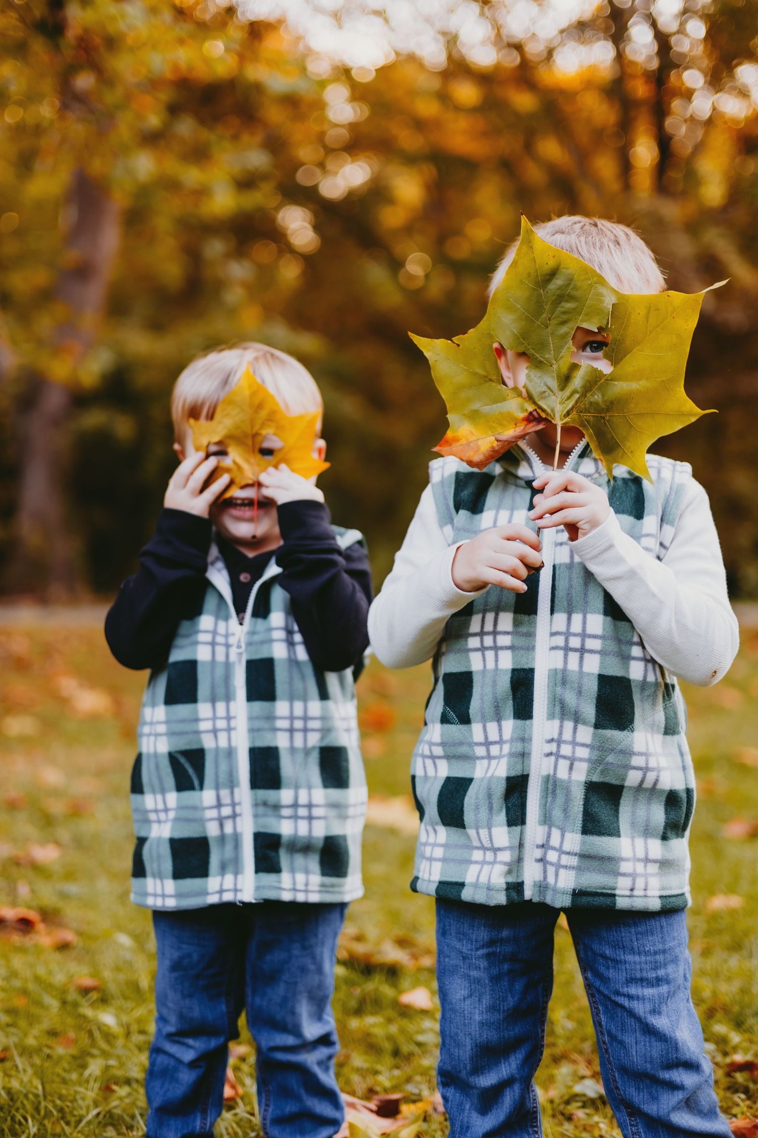 Two children in matching plaid vests hold autumn leaves while playing in a fall park setting.