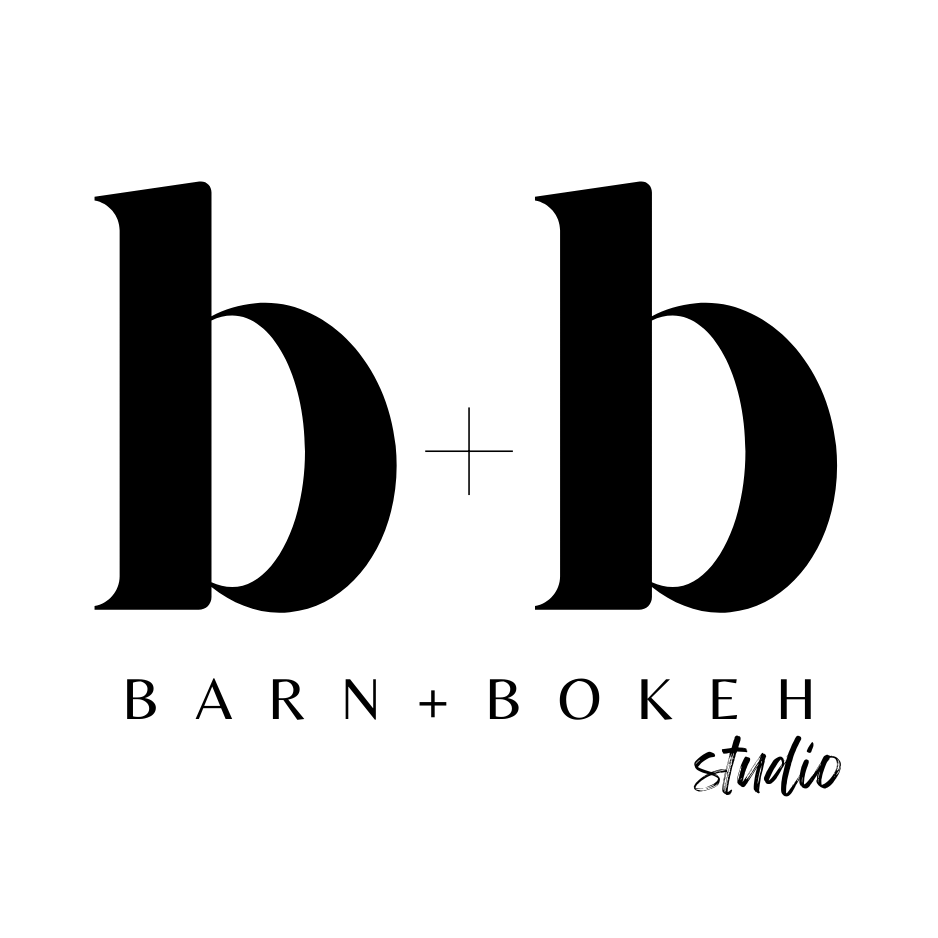 Black and white text logo showing 'BARN + BORE II Studio' in a minimalist serif typeface design.