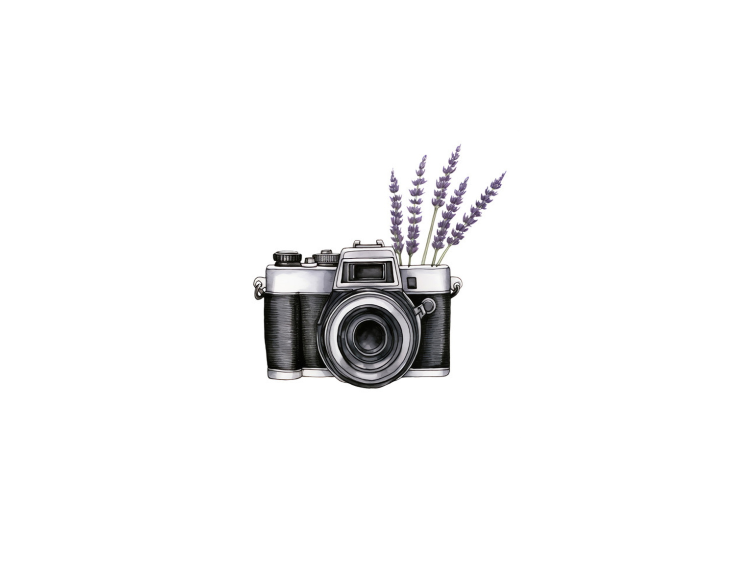 A vintage camera decorated with sprigs of purple lavender flowers against a white background.