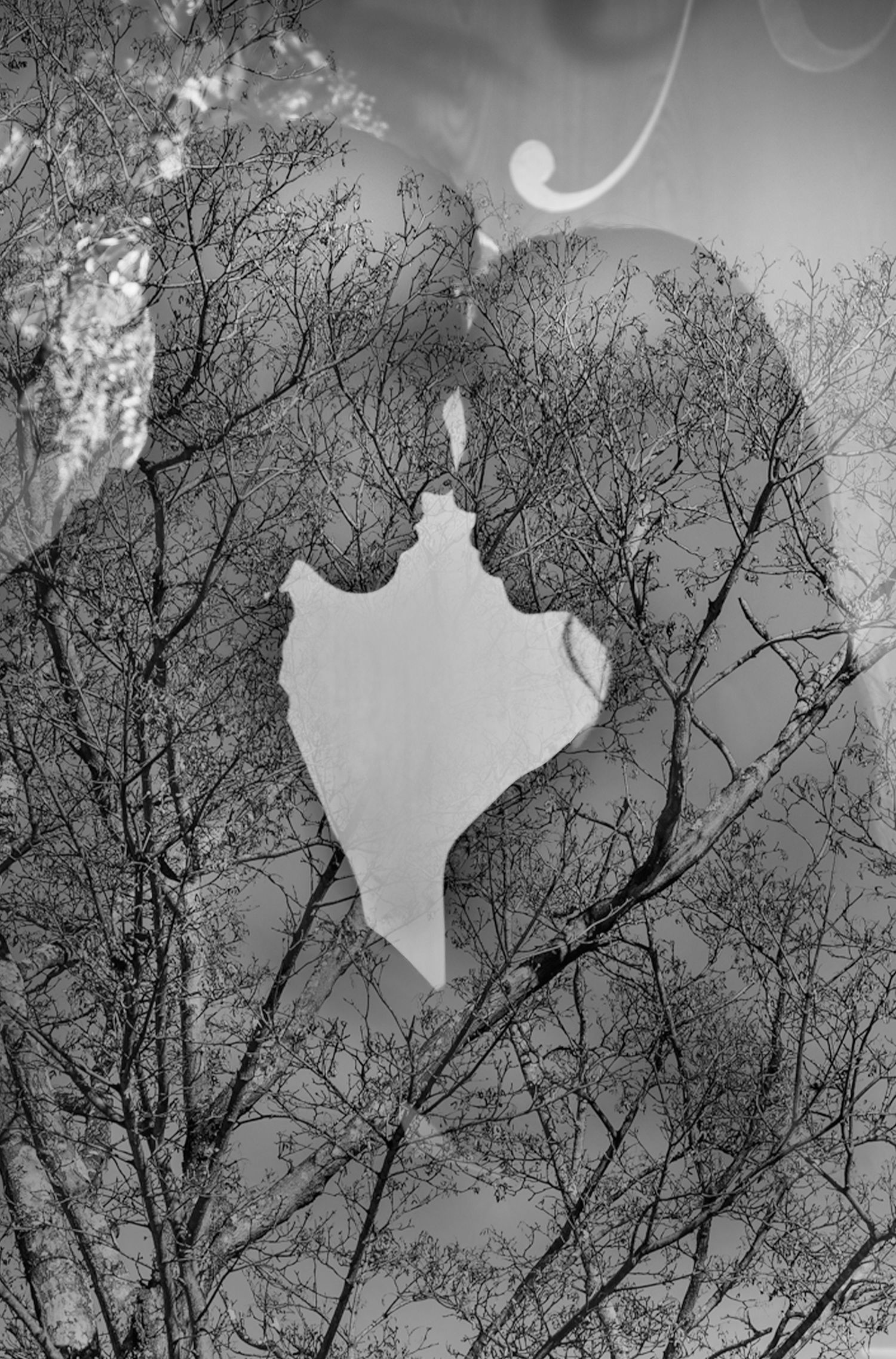 Double exposure art shows silhouette of couple in profile formed by bare tree branches against white sky.