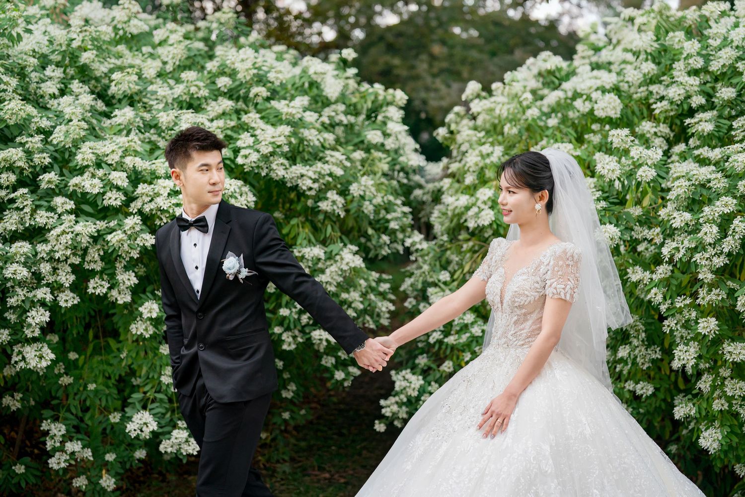 A couple in wedding attire holds hands in front of blooming white floral bushes in a garden setting.