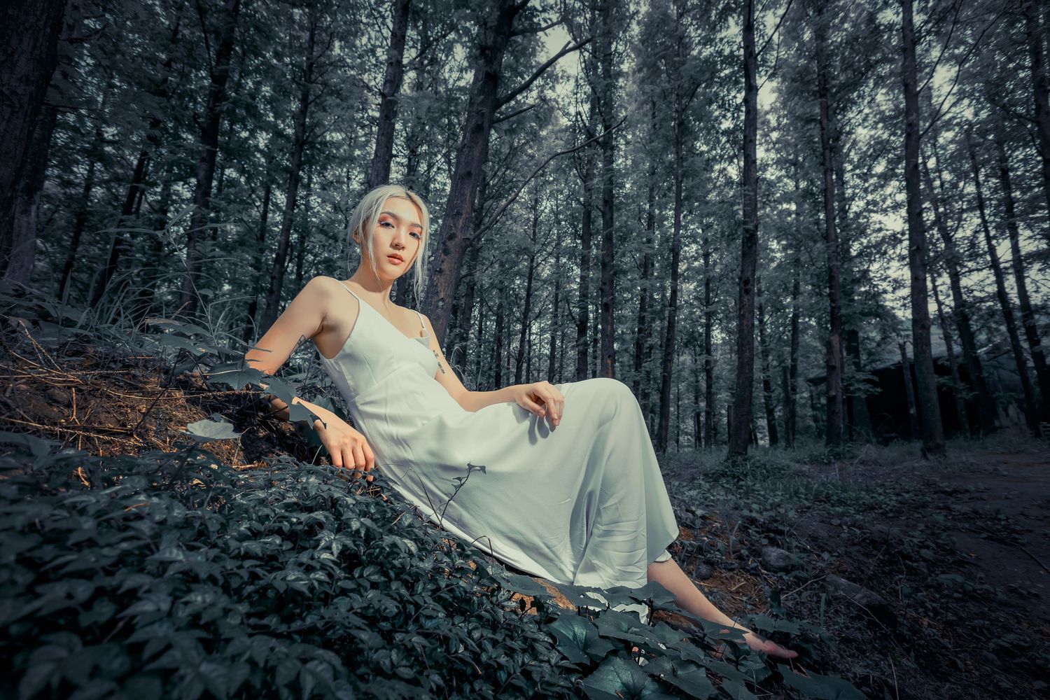 A person in a flowing white dress reclines against fallen logs in a misty, moody forest setting.