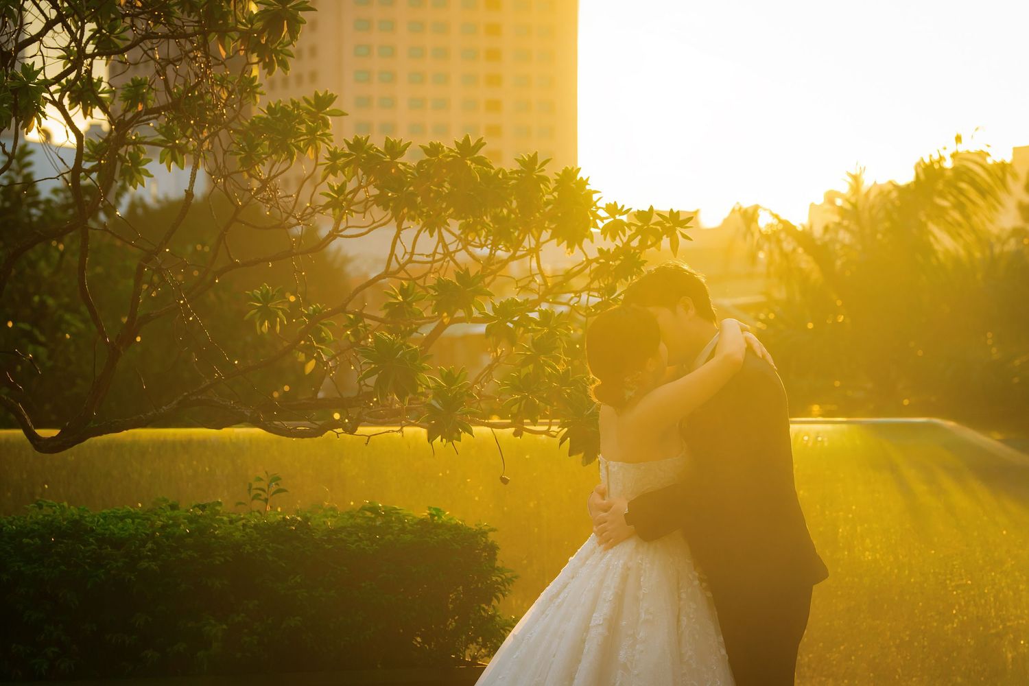 A golden sunset illuminates a couple in wedding attire walking through a garden with trees and sunbeams.