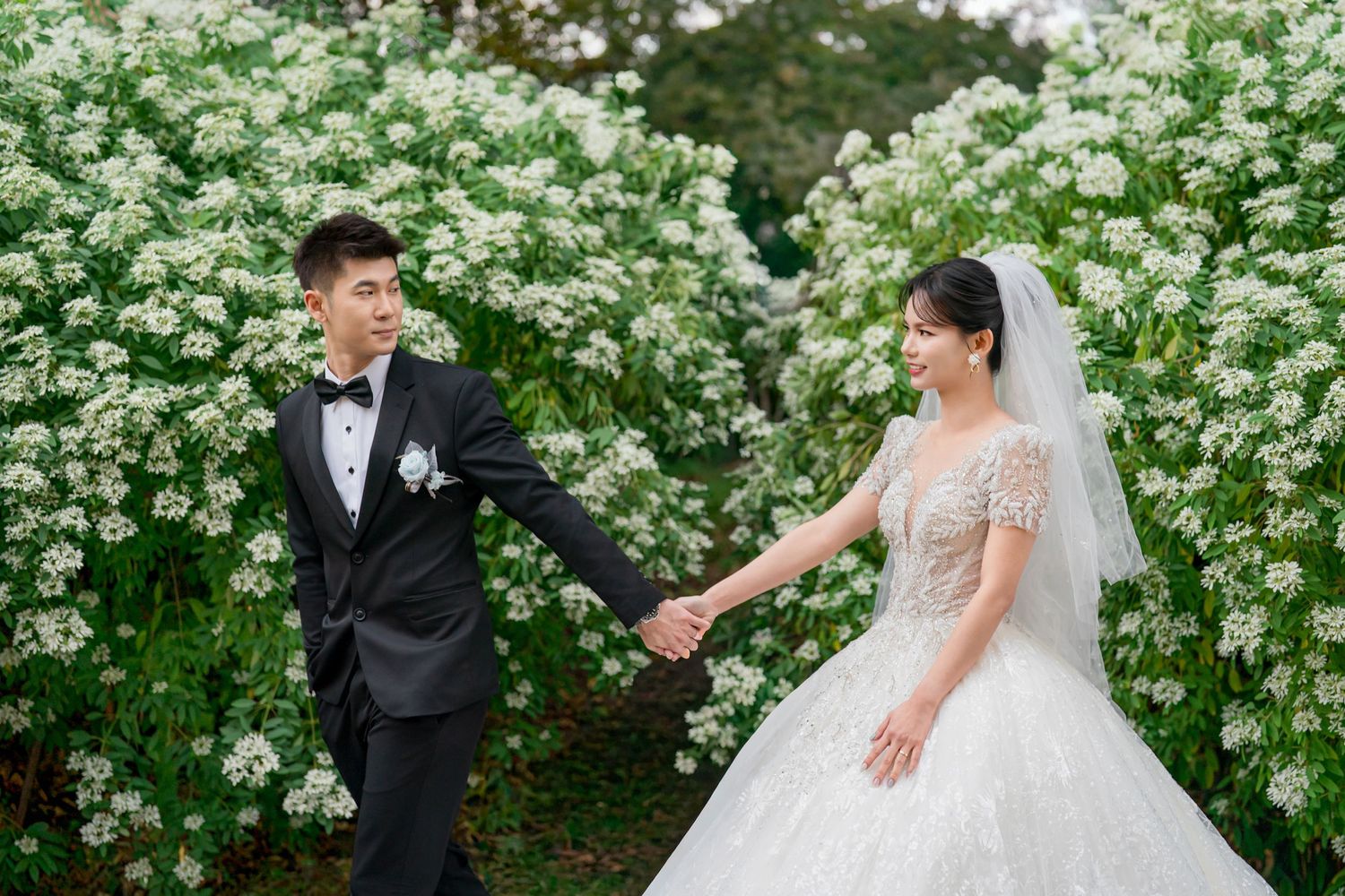 A couple in wedding attire holds hands in front of blooming white floral bushes in a garden setting.
