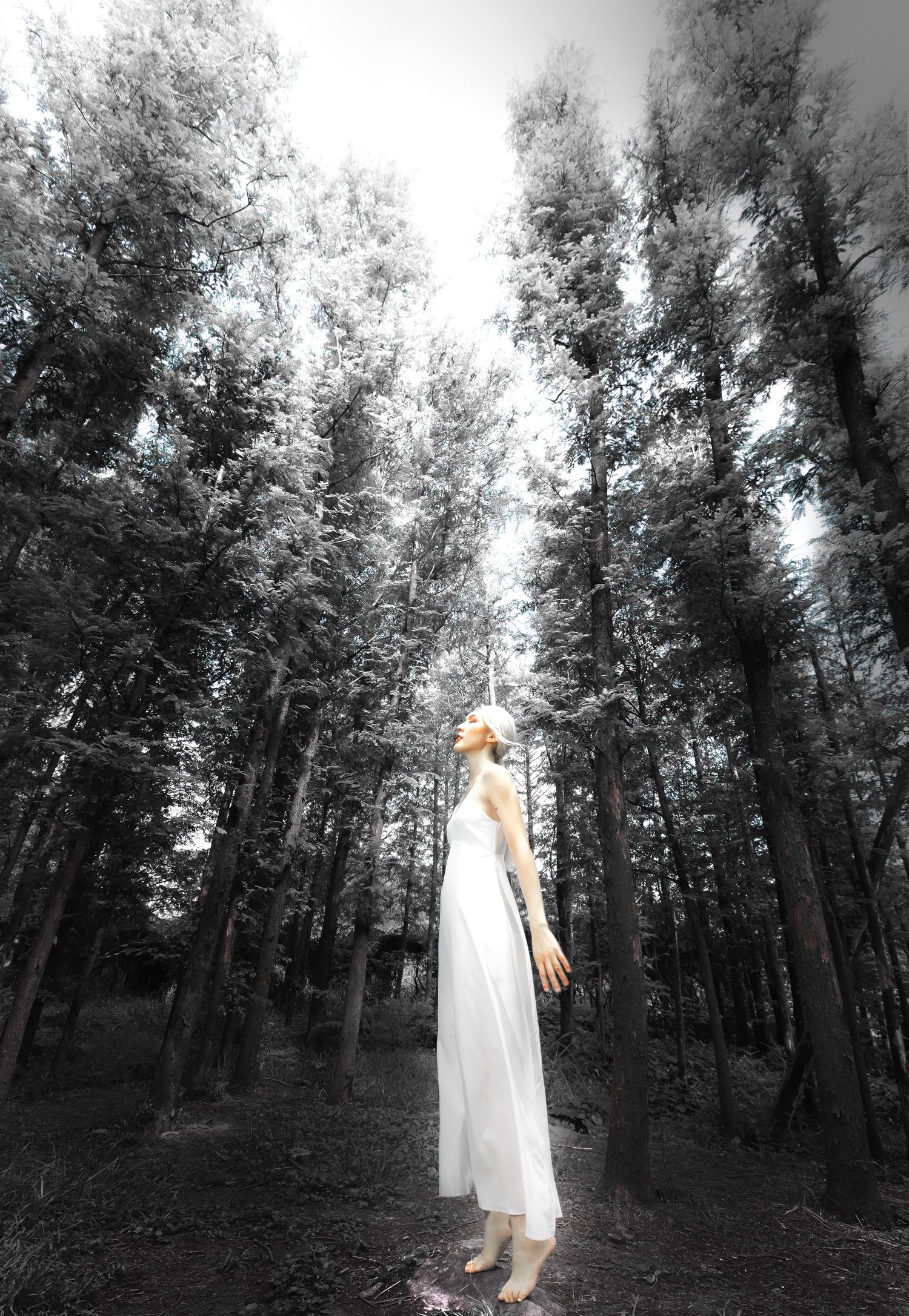A figure in a white dress stands in a monochromatic forest scene with only their dress visible against the dark trees.