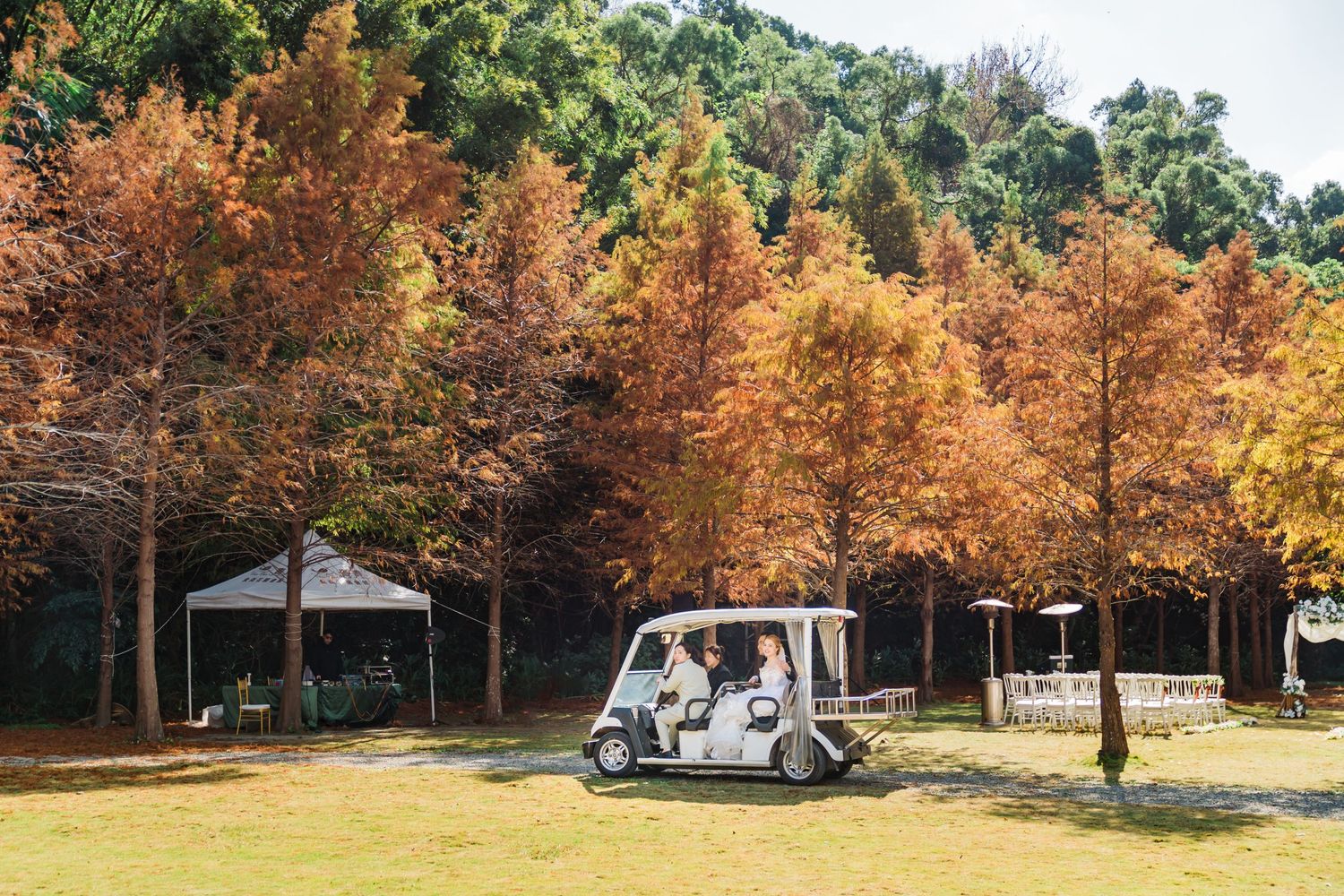 Golf cart driving through beautiful fall foliage on a sunny wedding day.