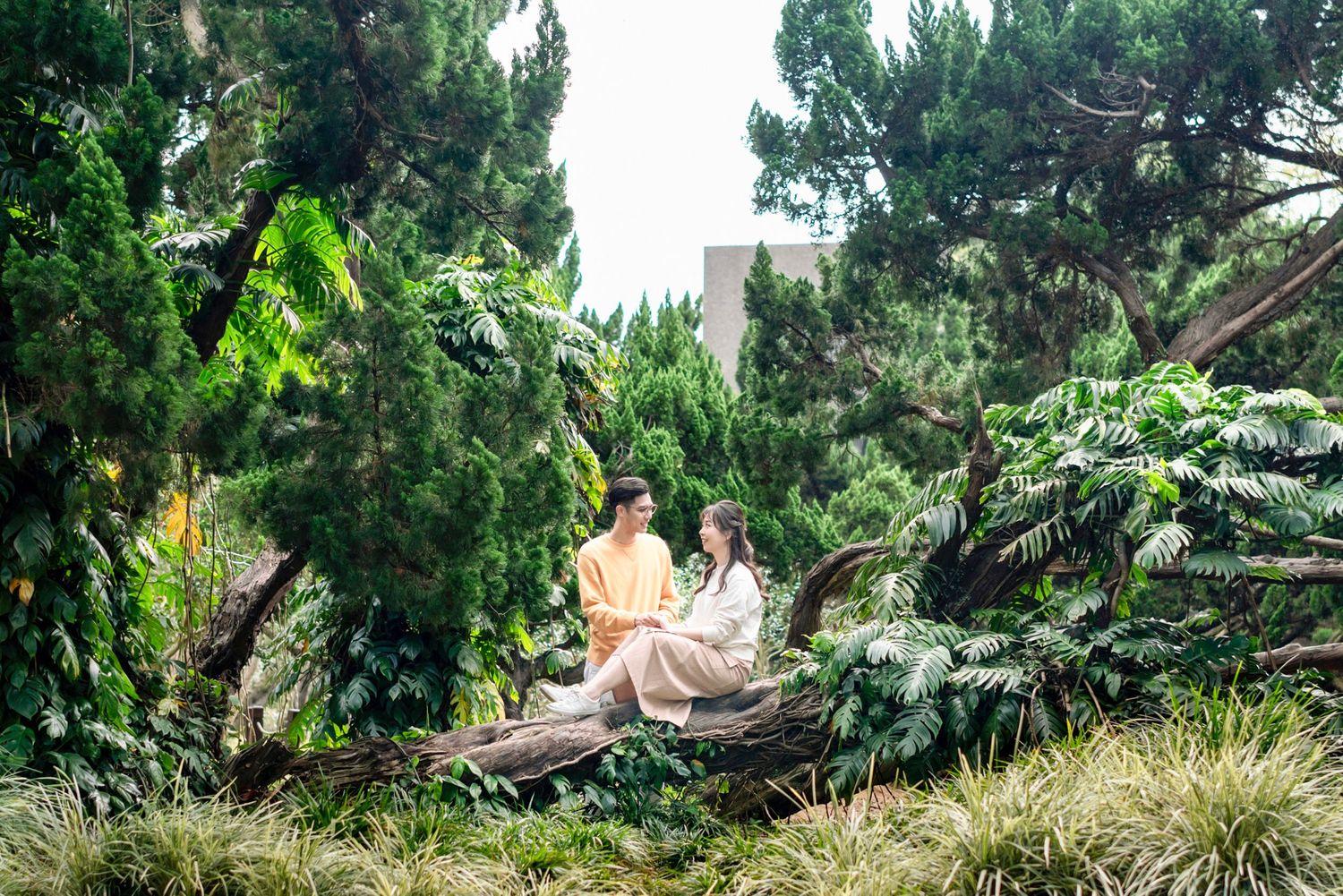 教堂證婚 教堂婚禮 戶外證婚 證婚 證婚儀式  婚禮攝影 婚紗攝影 婚禮攝影師 婚紗攝影師 婚禮攝影師推薦 婚紗攝影師推薦 台北攝影師 台灣攝影師 證婚 戶外證婚 文定 文定儀式 迎娶 訂結同天 結婚照 活動紀錄 人像寫真 專業形象照 韓式證件照 法式復古 法式復古婚紗 美式婚紗