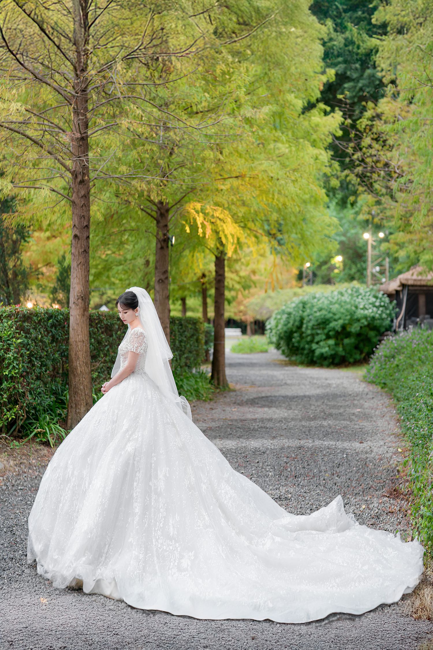 A stunning wedding dress with a flowing train photographed in a scenic park setting with fall foliage.