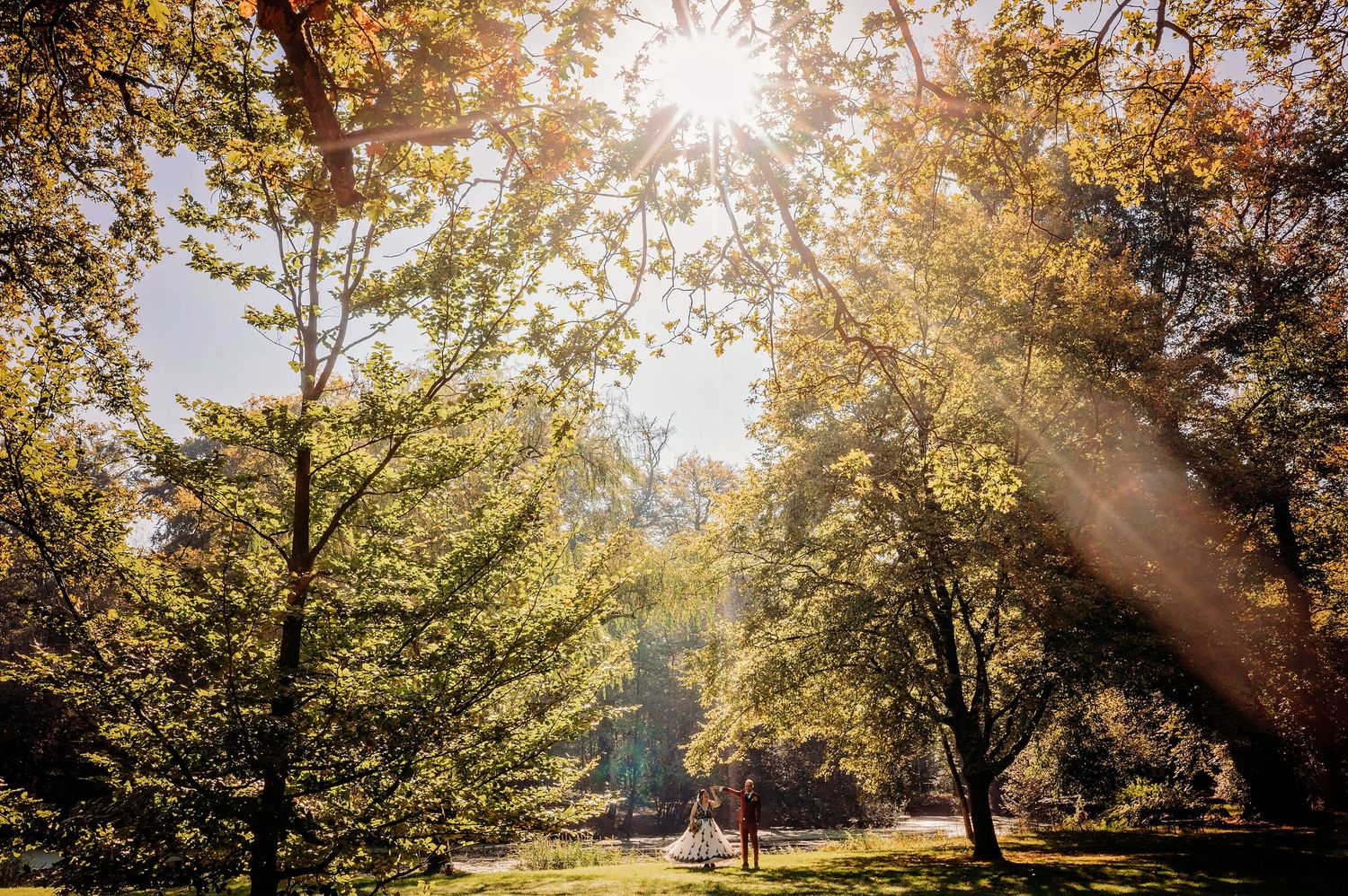 Gouden zonlicht door herfstbomen, sfeervolle buitenlocatie bruidsfotografie Huize Bergen Vught, Brabant.
