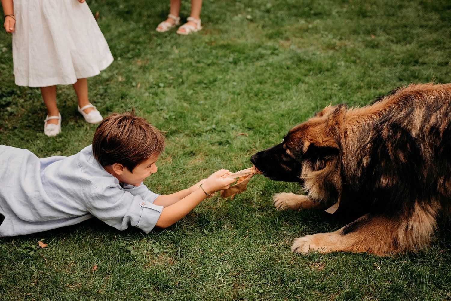 Golden Retriever ligt op gras met kinderen tijdens buitenevenement, trouwfotografie Brabant.