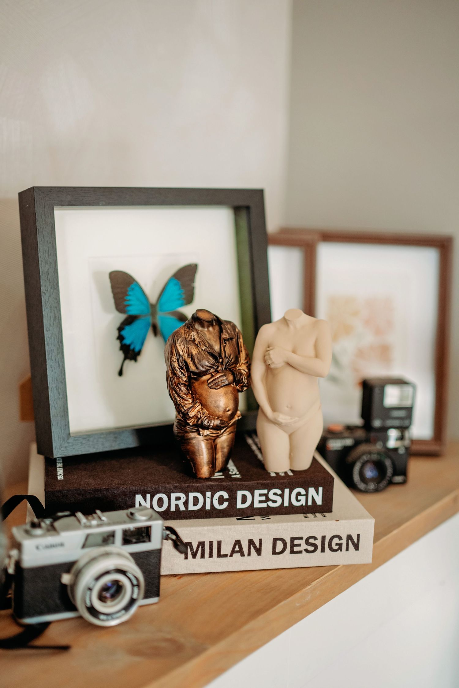Decoratieve plank met ingelijst vlinderkunstwerk en Nordic design elementen, interieurfotografie Brabant