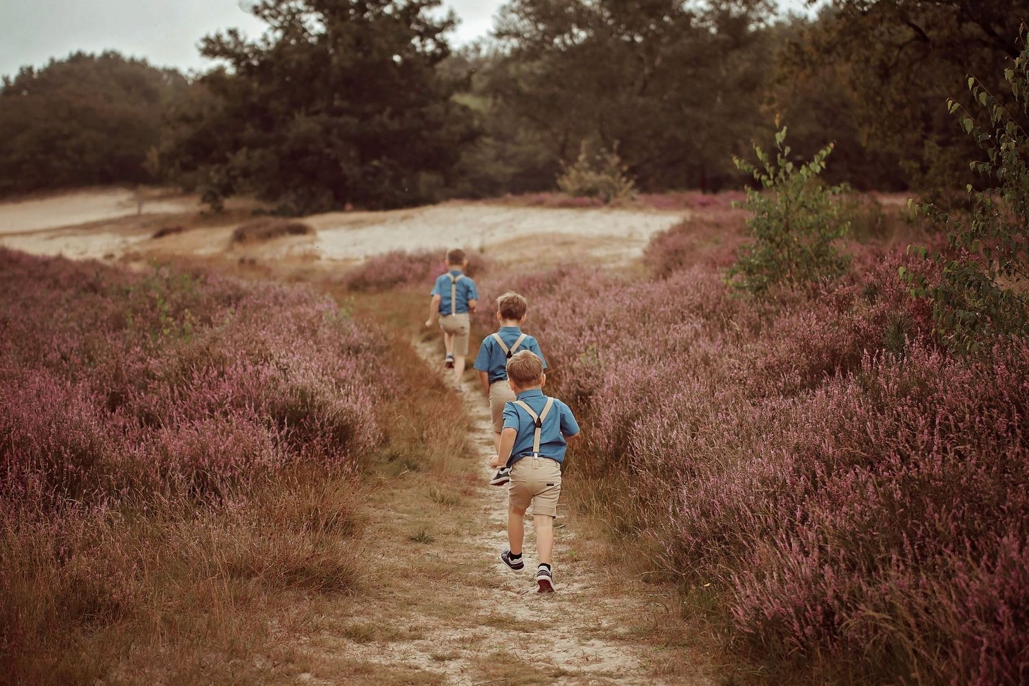Children running along a trail through blooming purple heather fields.