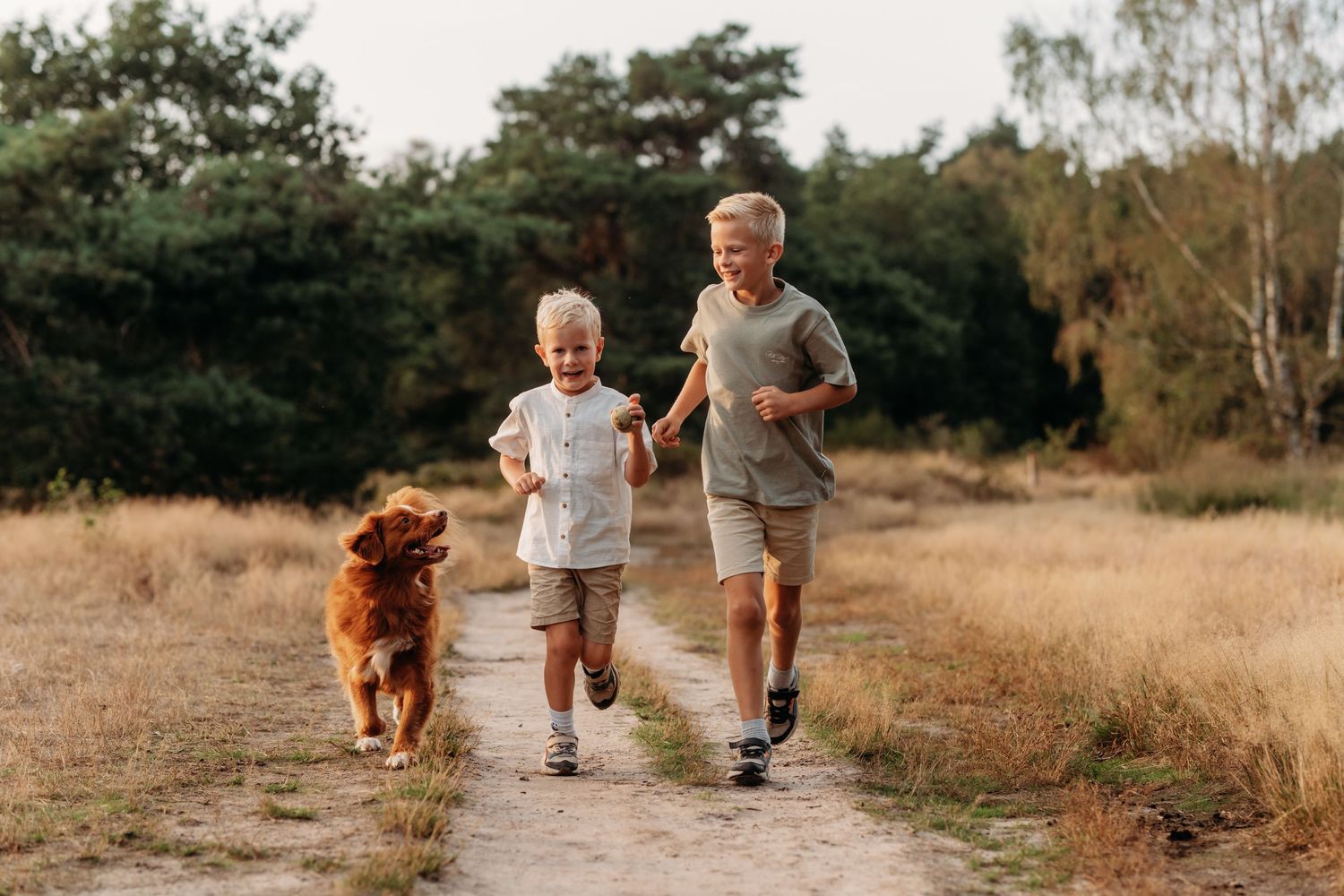 Two young boys in casual clothes run along a sandy path through a golden grass field beside a happy golden retriever, with trees behind.