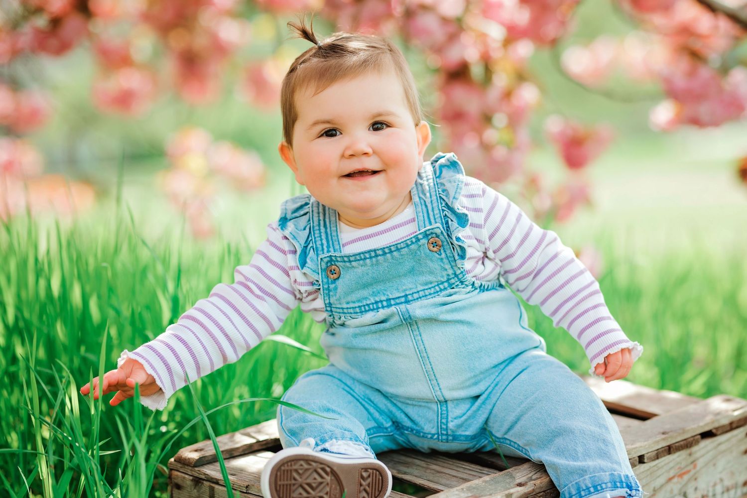 Baby fotoshoot buiten in bloesem in Brabant, natuurlijke kinderfotografie met zacht licht
