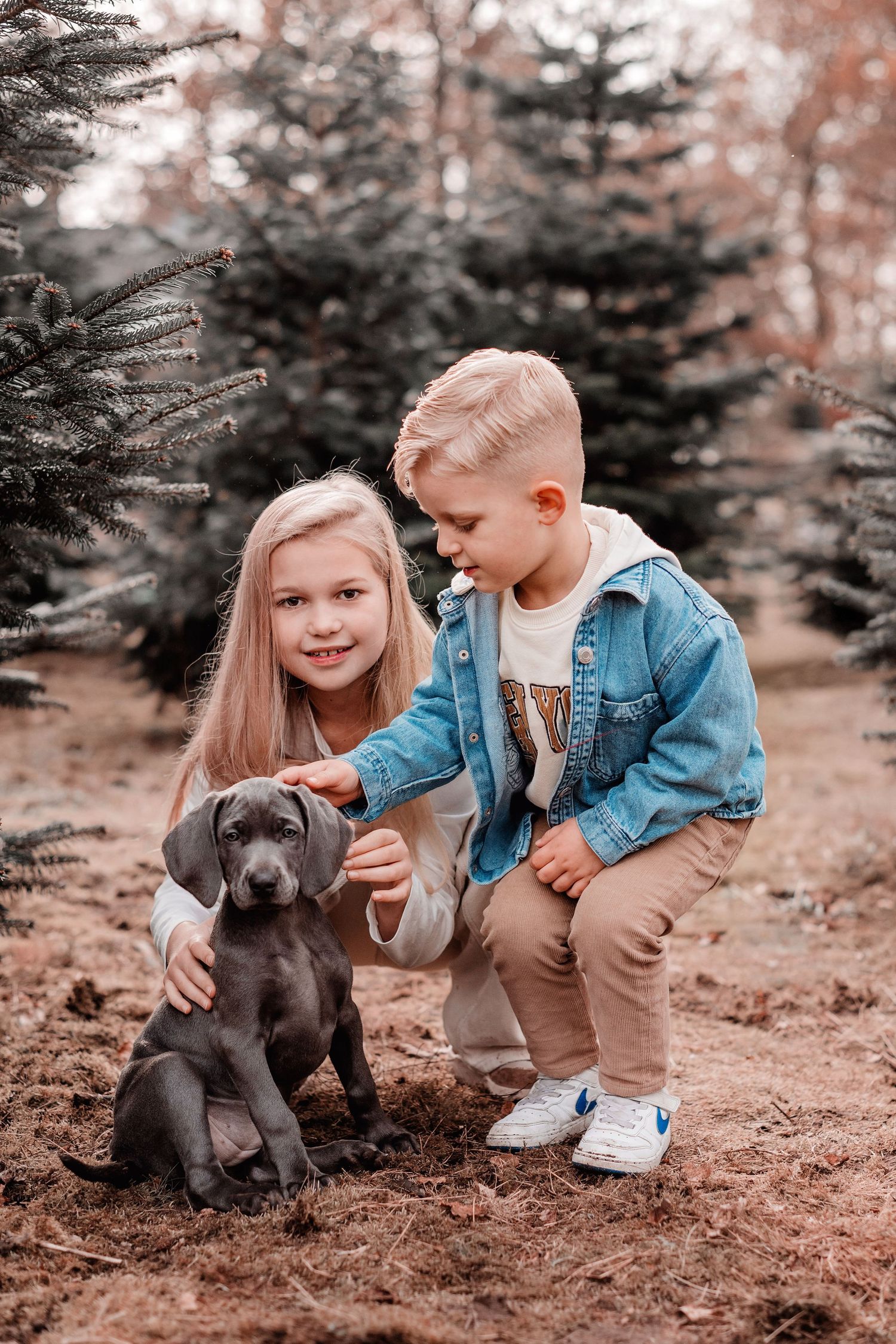 Two young children petting a gray Weimaraner puppy outdoors among evergreen trees in autumn.