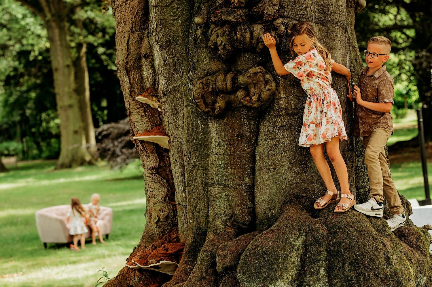Bruiloftsgasten poseren rond grote boom in zomerse tuinsetting, bruiloftsfotografie Brabant.