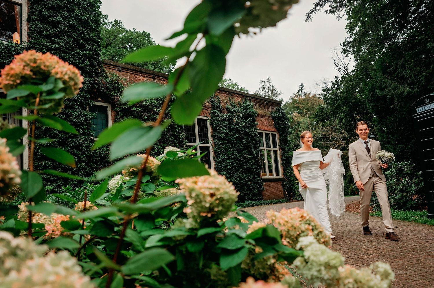 Wedding couple walking through lush garden with hydrangeas outside ivy-covered venue.