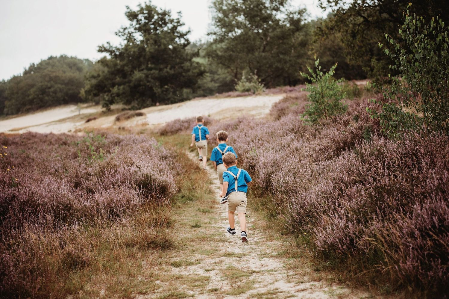 Twee personen wandelen over een schilderachtig pad door paarse heidevelden.