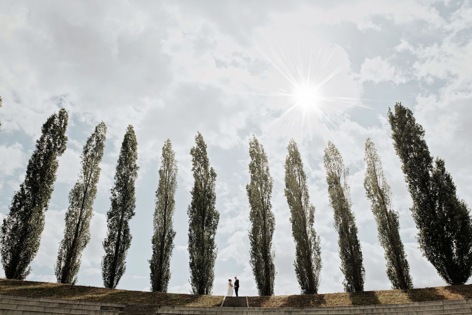 Dramatisch panoramisch uitzicht op hoge populieren tegen bewolkte lucht, bruidsfotografie Brabant.