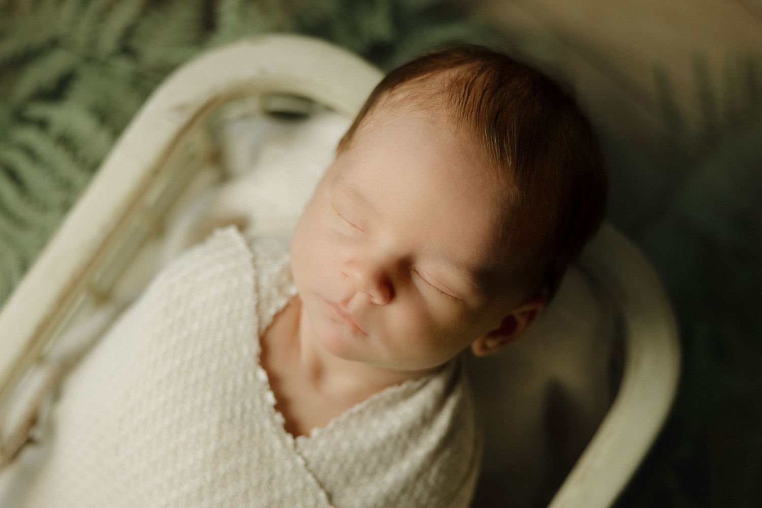 A peaceful sleeping newborn baby swaddled in white knit fabric against a green leafy background.