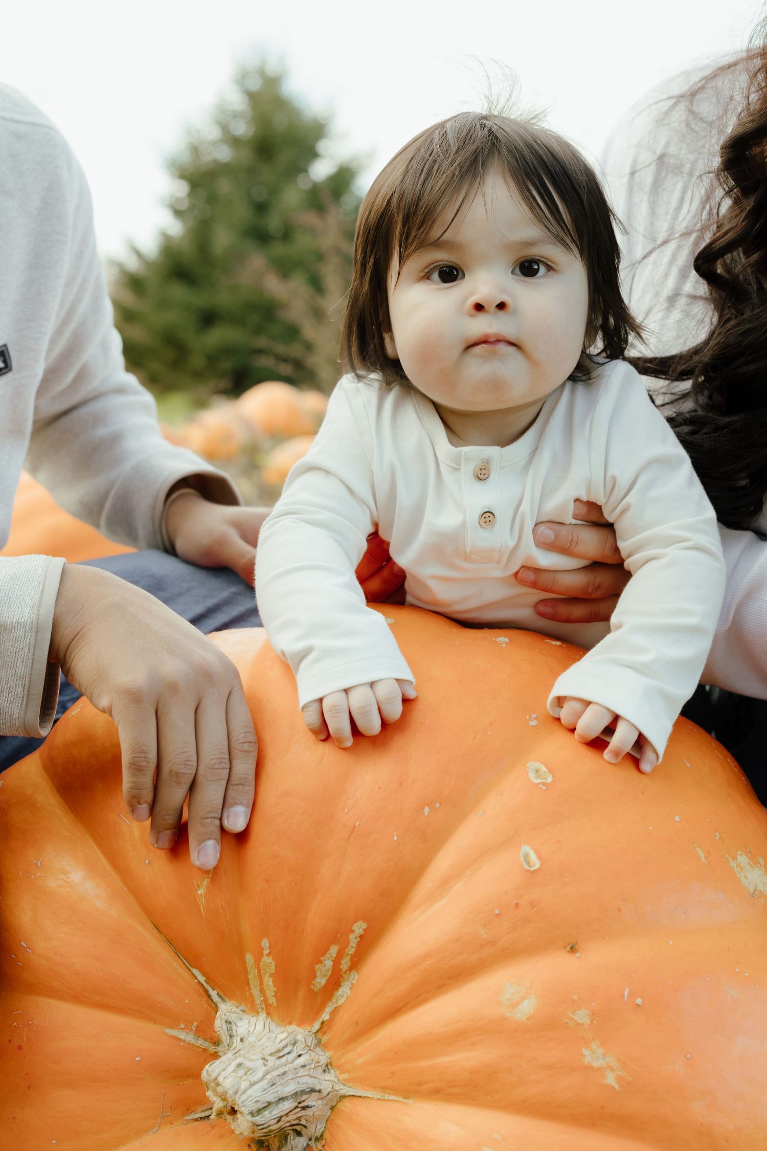 A curious baby in white leans on a large orange pumpkin at a pumpkin patch, supported by adults on either side.