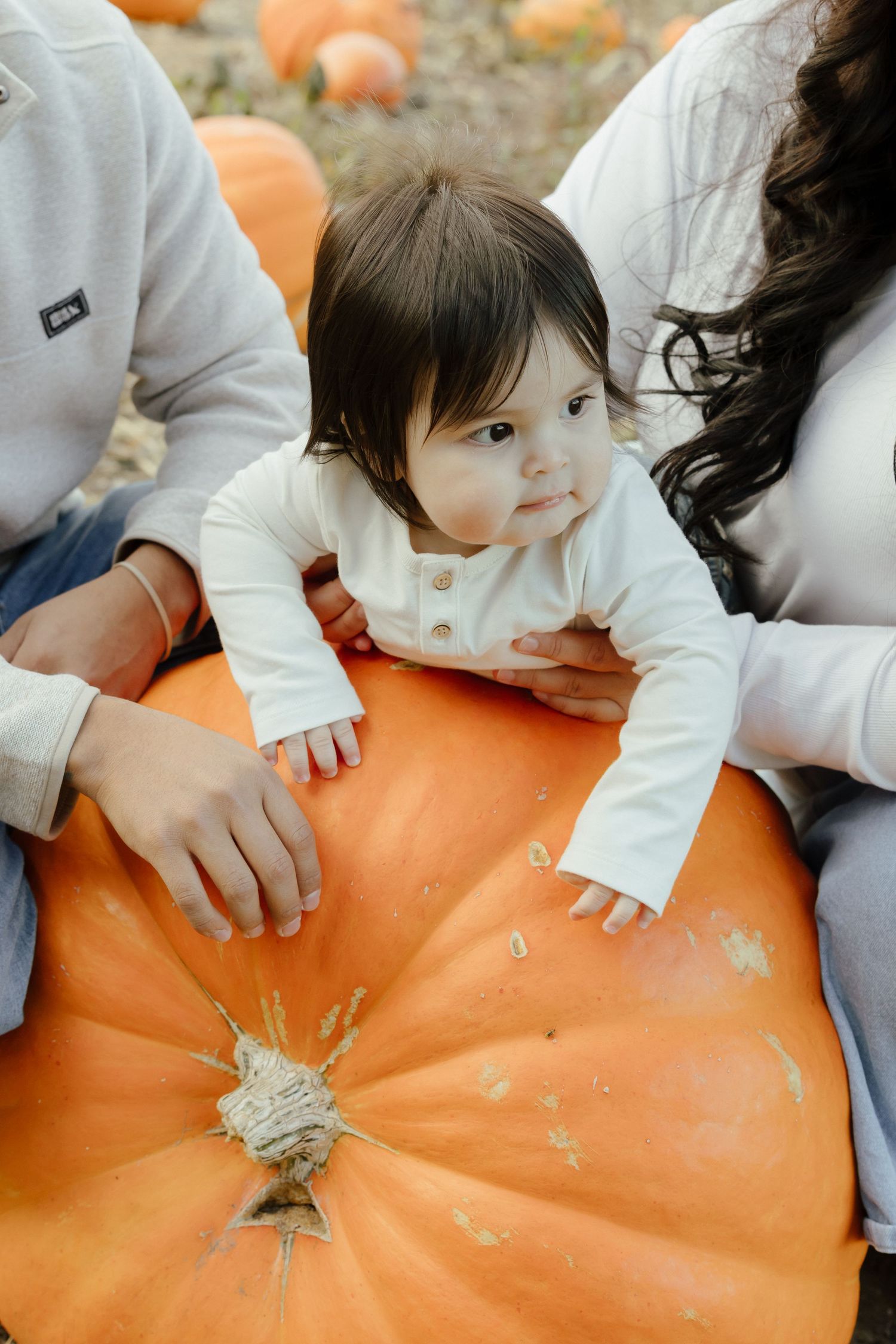 A baby in a white onesie leans on a large orange pumpkin at a pumpkin patch, flanked by two adults.