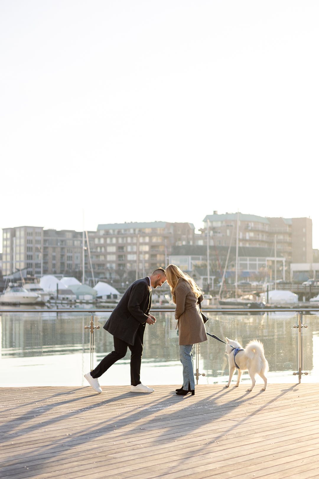 A couple leans in for a kiss while walking their white dog on a waterfront boardwalk.