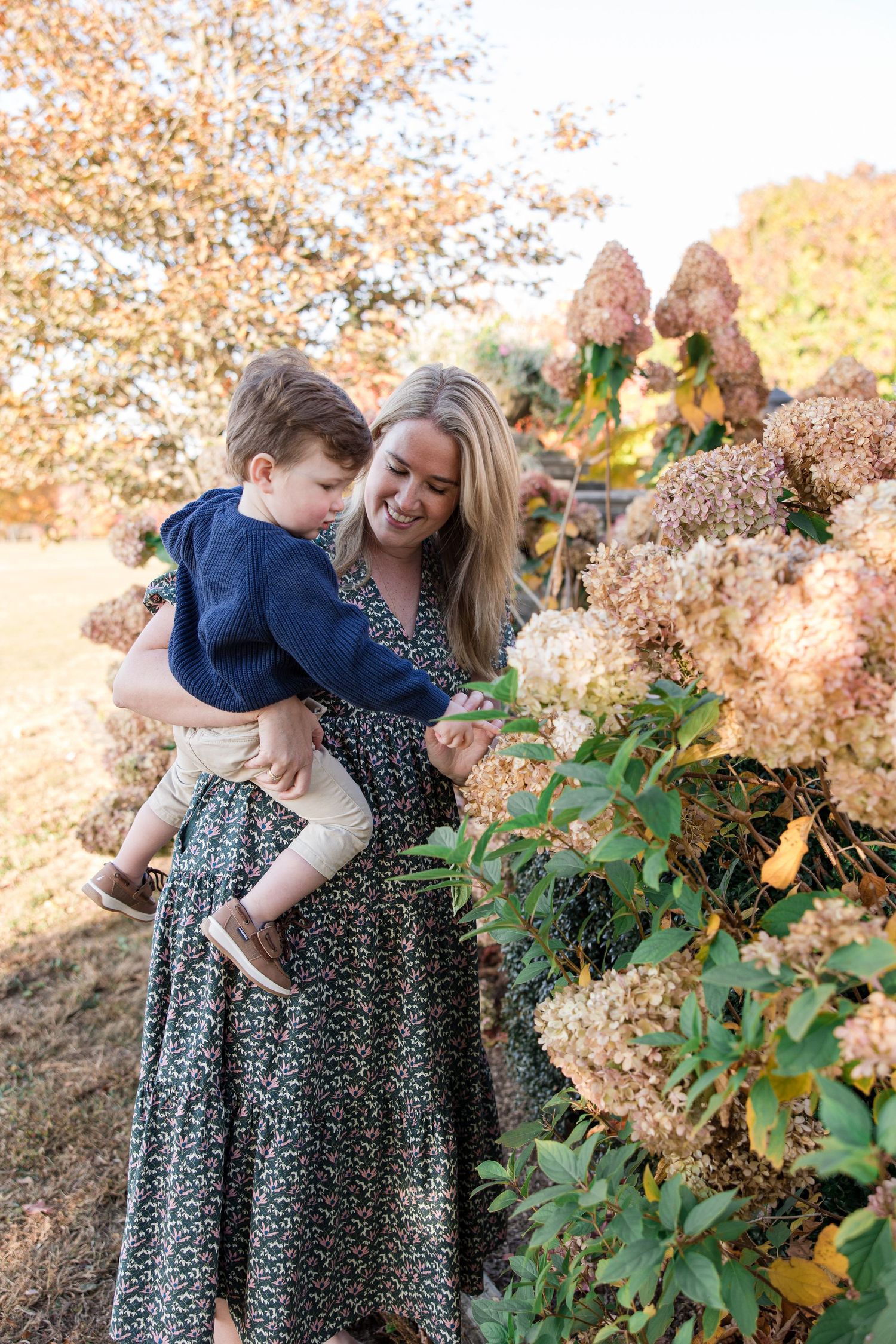 A heartwarming outdoor portrait of a parent and child embracing among fall hydrangeas.