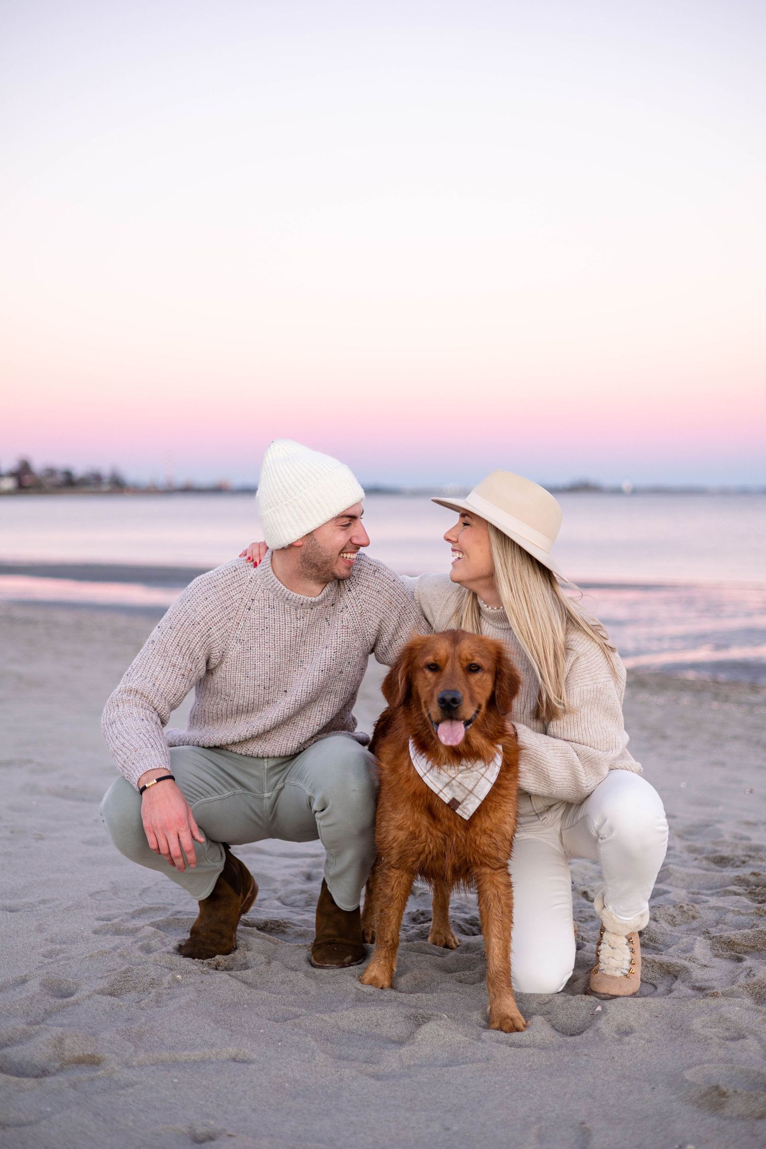 Golden retriever poses with companions on beach during pink sunset.