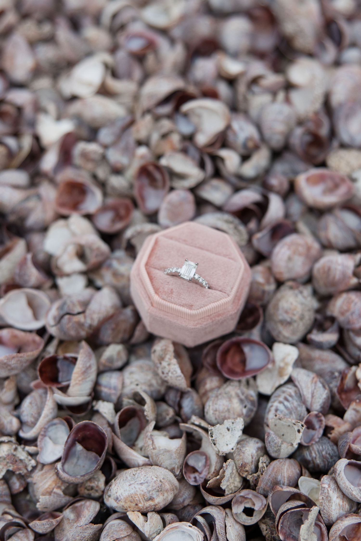 An engagement ring in a pink velvet box displayed on a bed of seashells.