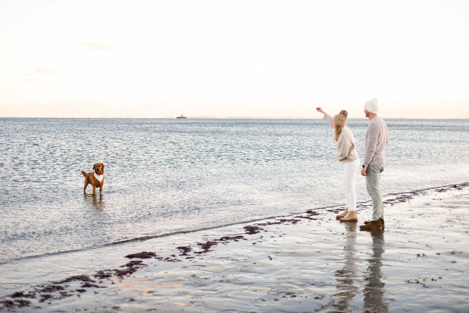 Golden retriever plays in shallow ocean water while companions enjoy the beach.