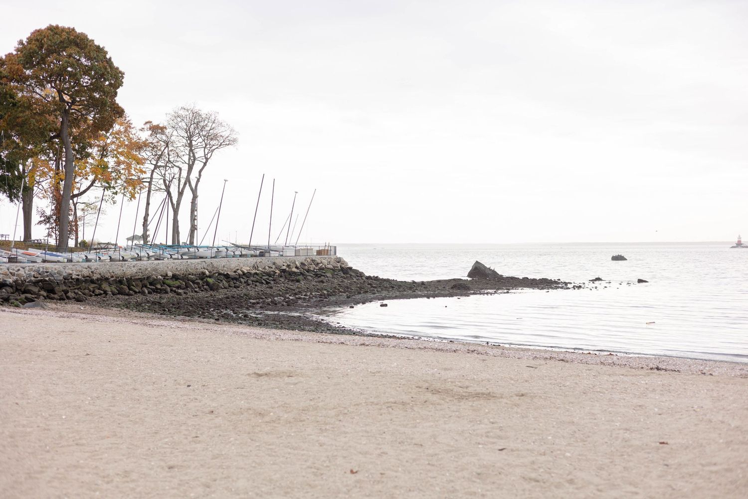 Scenic view of empty beach with tall trees and rocky coastline.