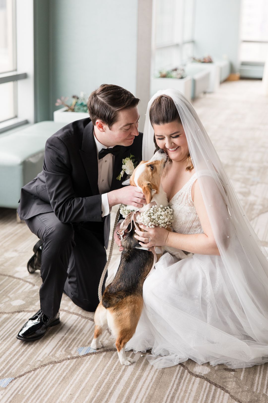A couple in wedding attire plays with their Corgi dog wearing a floral collar.