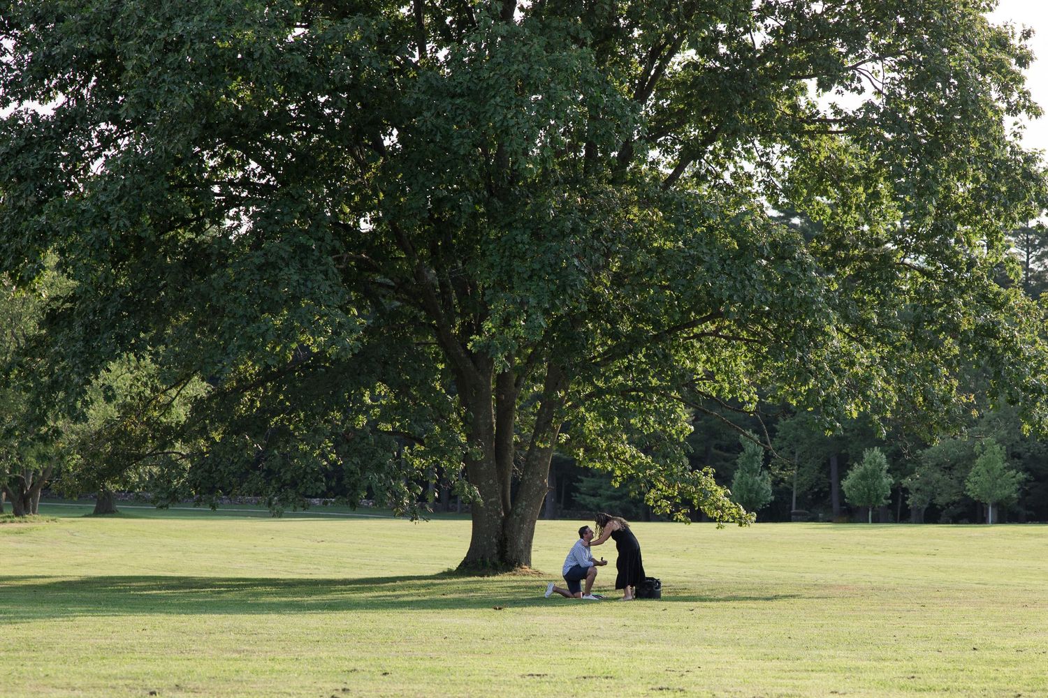 A couple enjoying a peaceful moment under a large tree on a sunny day in a grassy park.