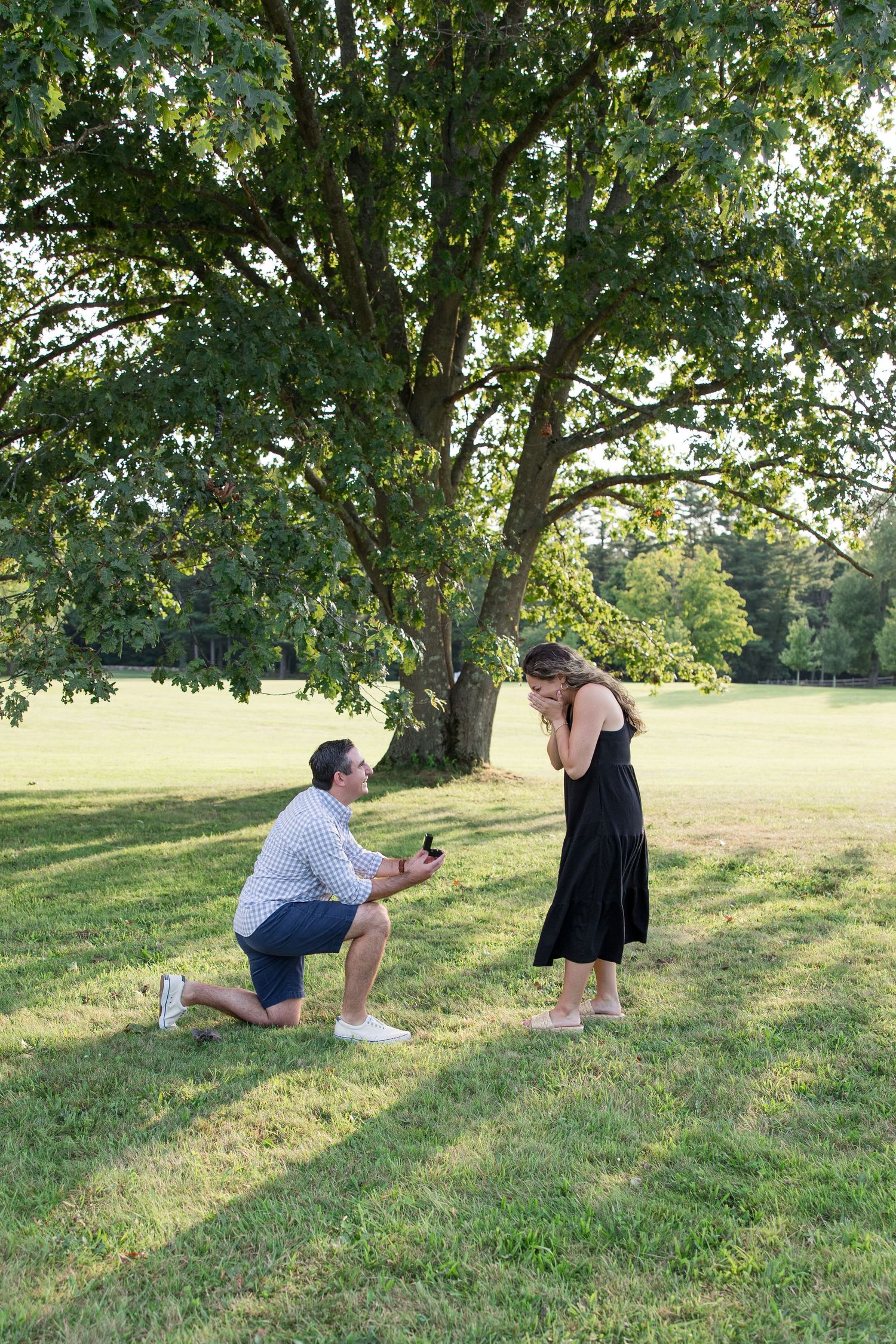 A proposal scene under a large tree in a grassy field during golden hour.