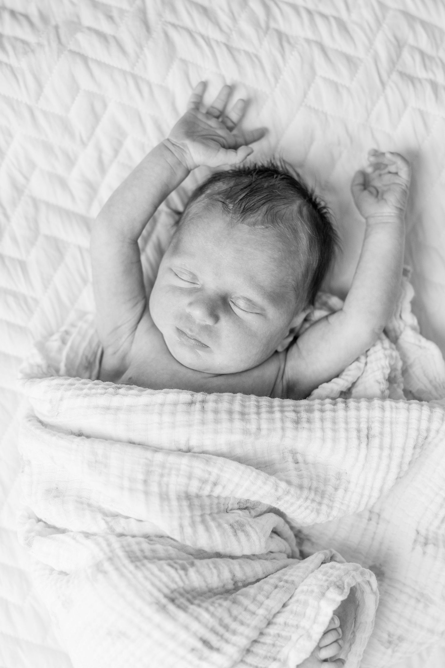 Newborn photography session in Ridgefield, CT