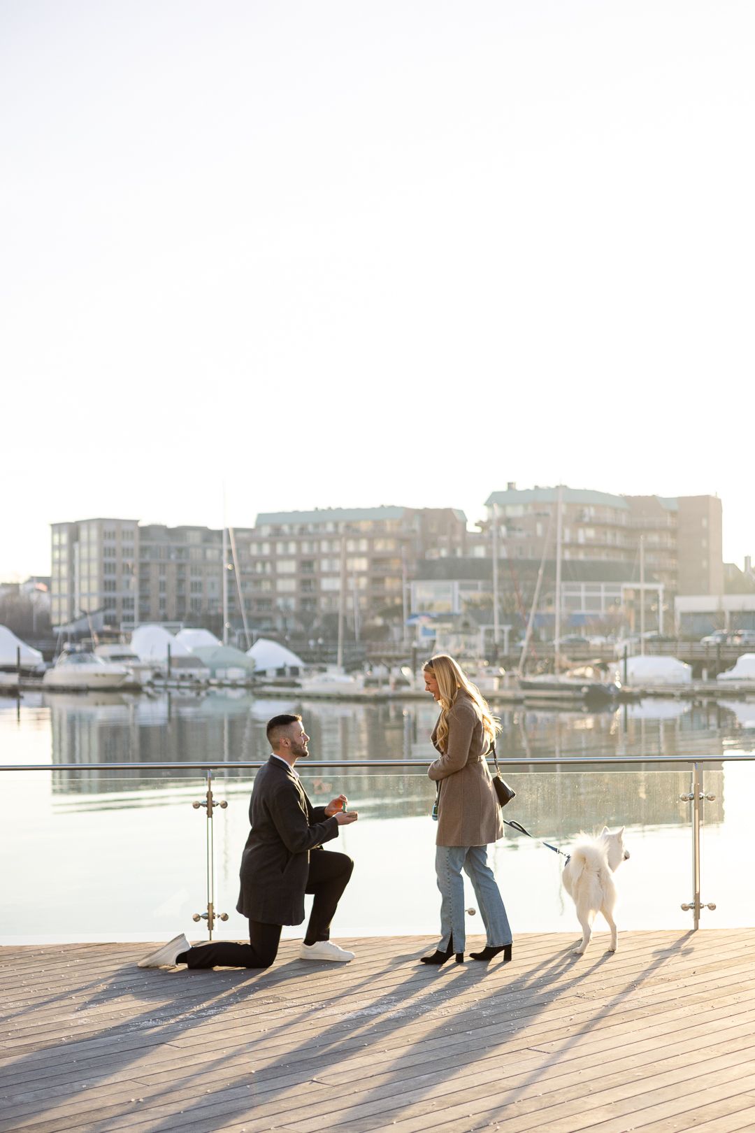 A proposal moment captured on a marina dock with a white dog watching nearby.