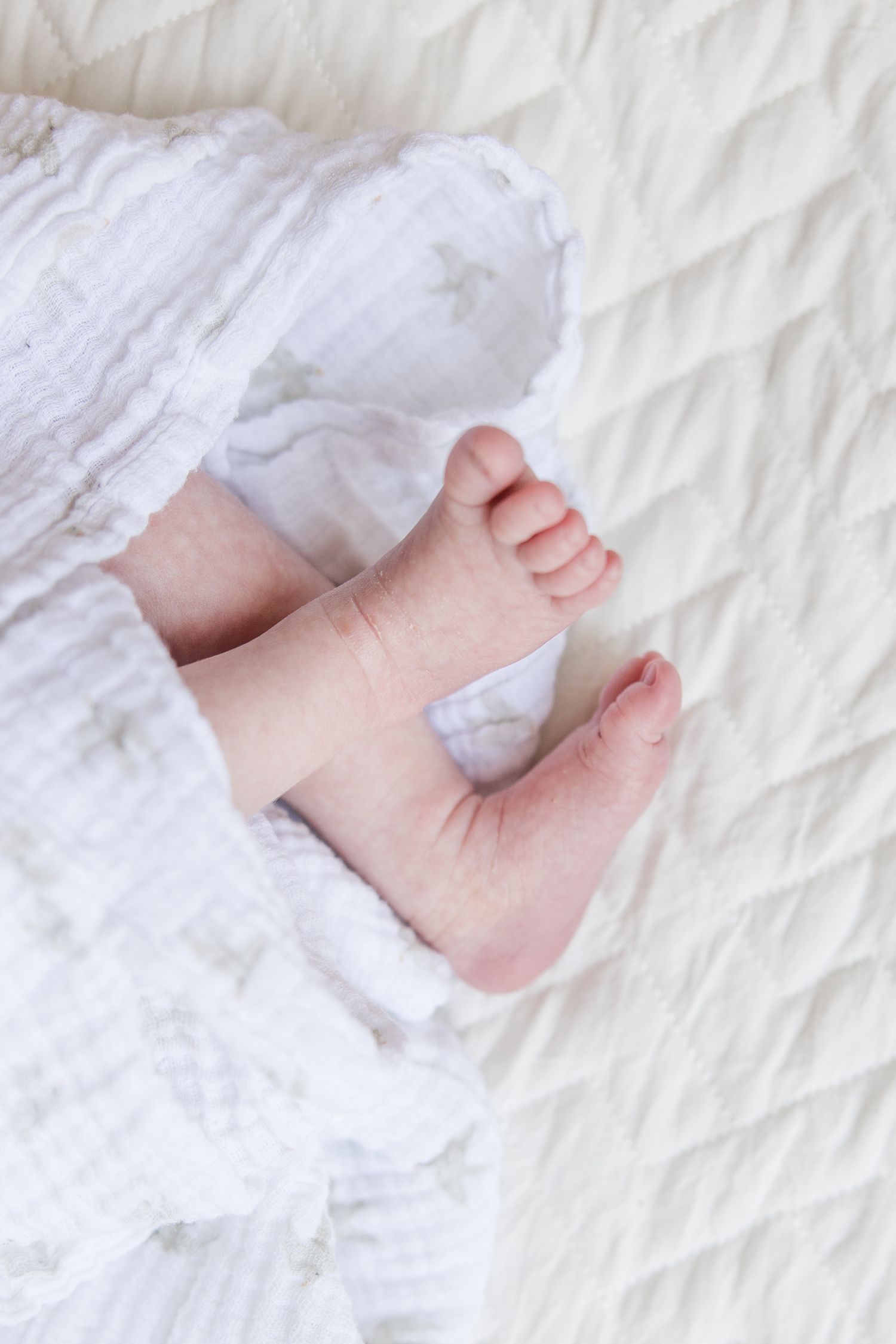 Newborn photography session in Ridgefield, CT